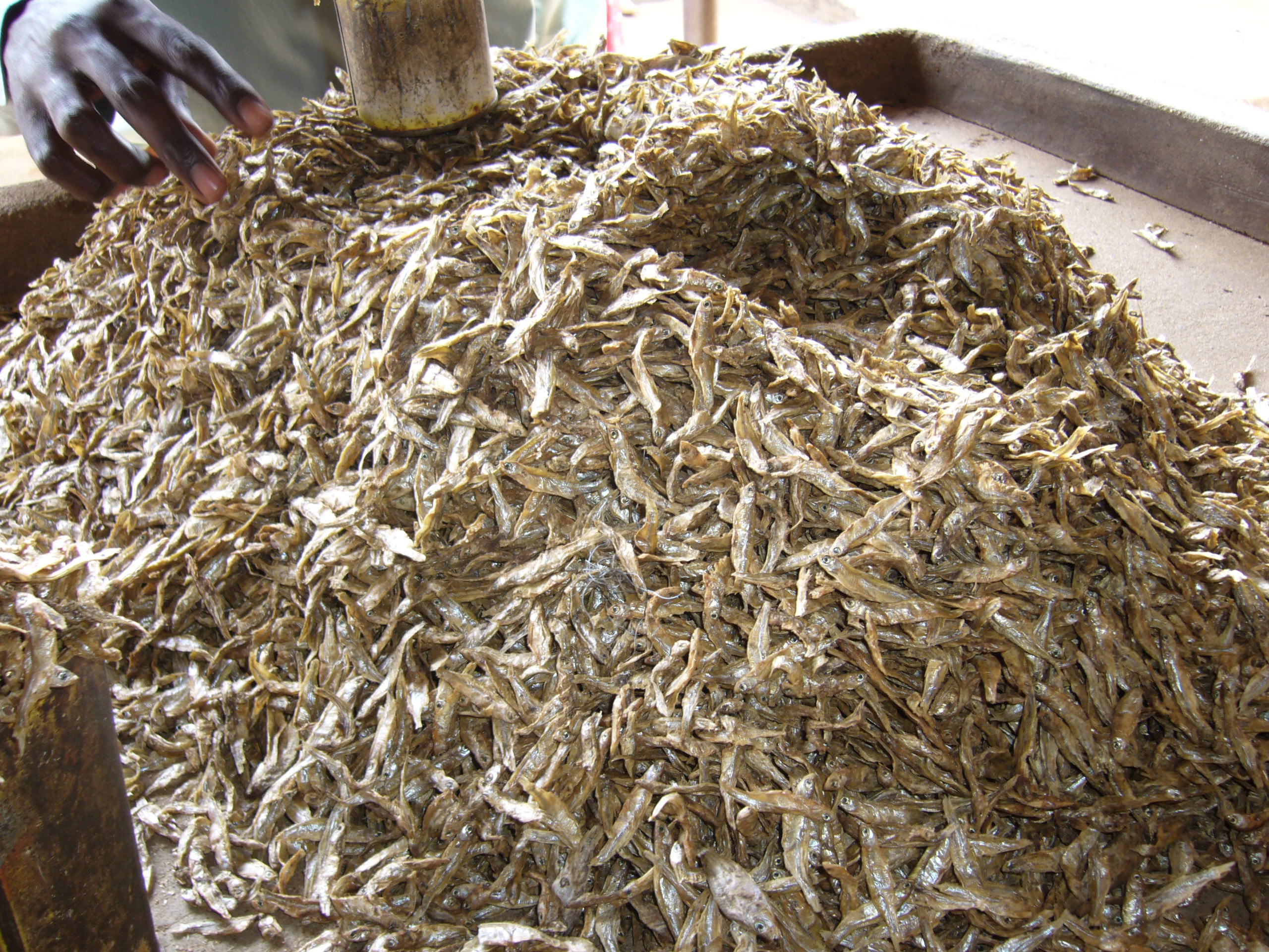 fresh-dagaa-omena-farmers-market-kenya