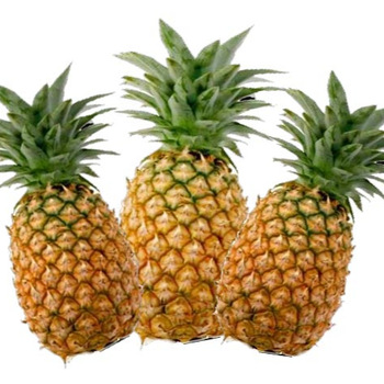 Looking For MD2 Pineapple - Farmers Market Kenya