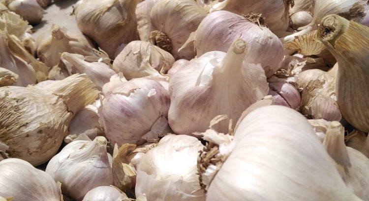 Garlic buyers