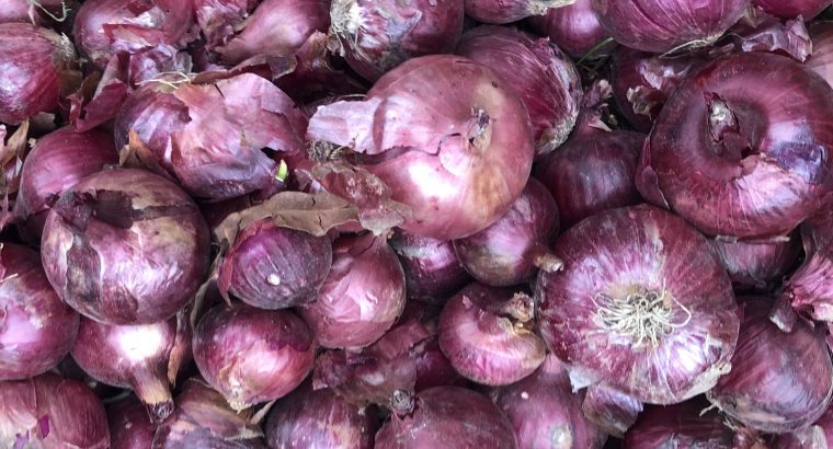 Red onions