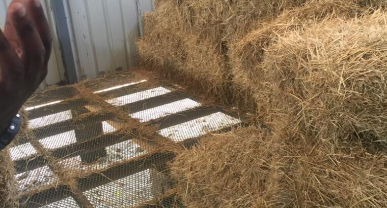 Fresh bales of hay for sale