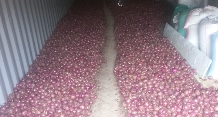 Well dried Red Bulb Onions