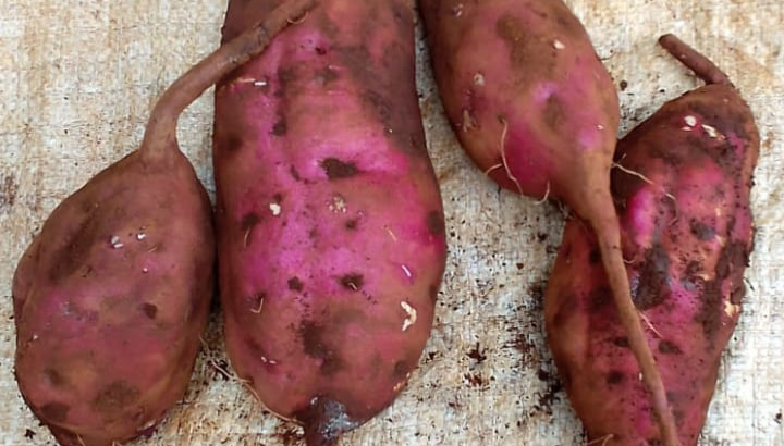 Organic Sweet Potatoes