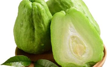 Chayote for sale