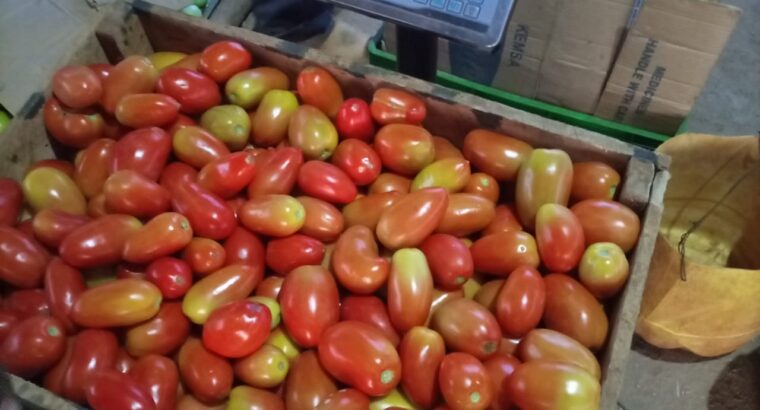 Wynzeei tomatoes