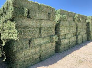 Buy 26 Tonne of Alfalfa Hay