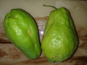 Chayote for sale