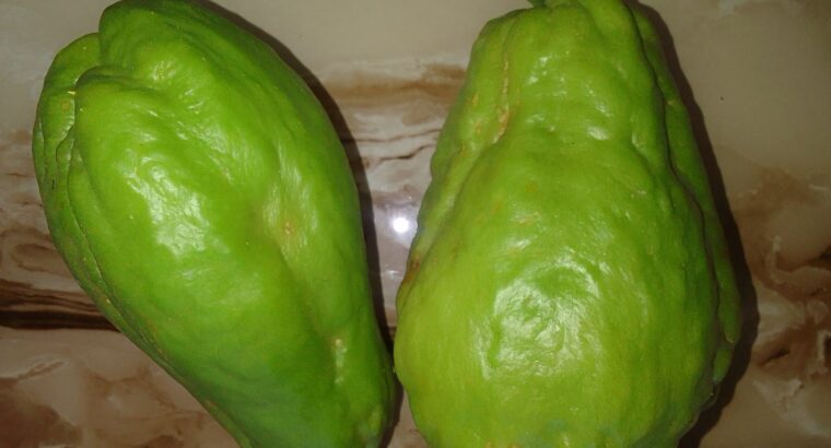 Chayote for sale