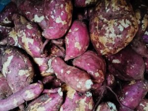 Sweet potatoes for sale