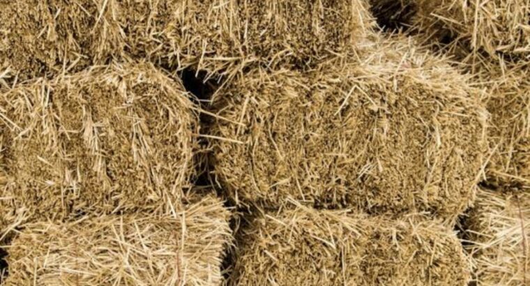 Boma Rhodes Hay For Sale