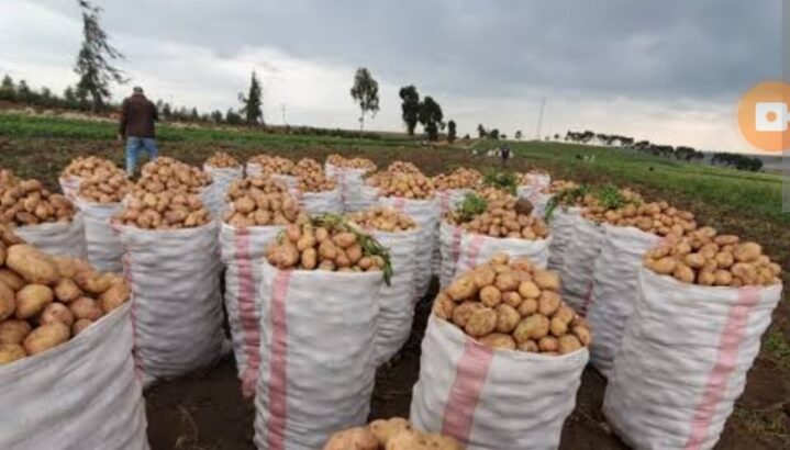 I am selling potatoes at 4800