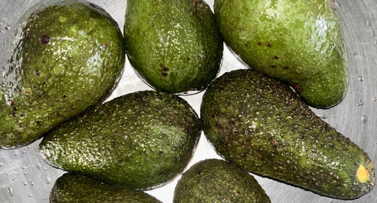 Hass Avocados 🥑