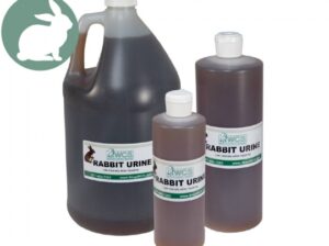 Rabbit urine