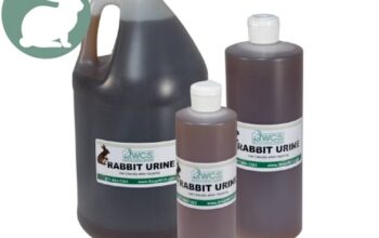 Rabbit urine