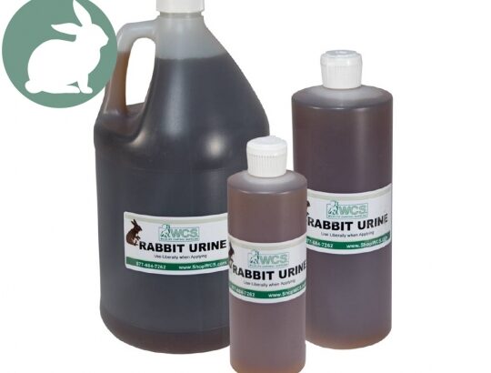 Rabbit urine