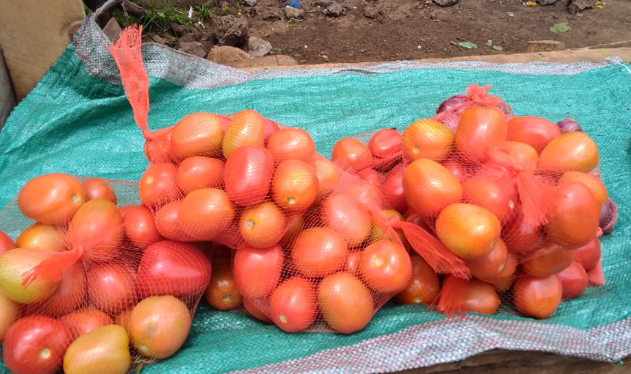 Fresh tomatoes on sale