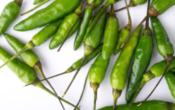 Bird eye chillies