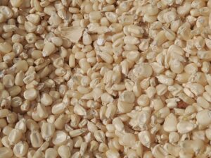 Dry maize