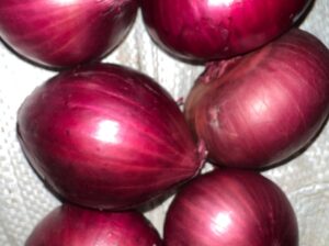 Red onions for sale