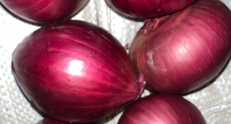 Red onions for sale