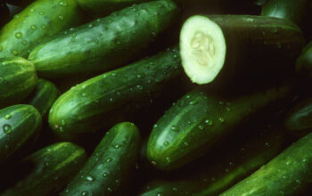 Cucumbers and capsicum