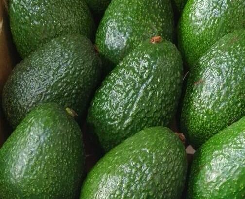 Hass Avocados 🥑