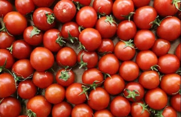 Fresh Tomatoes for sale