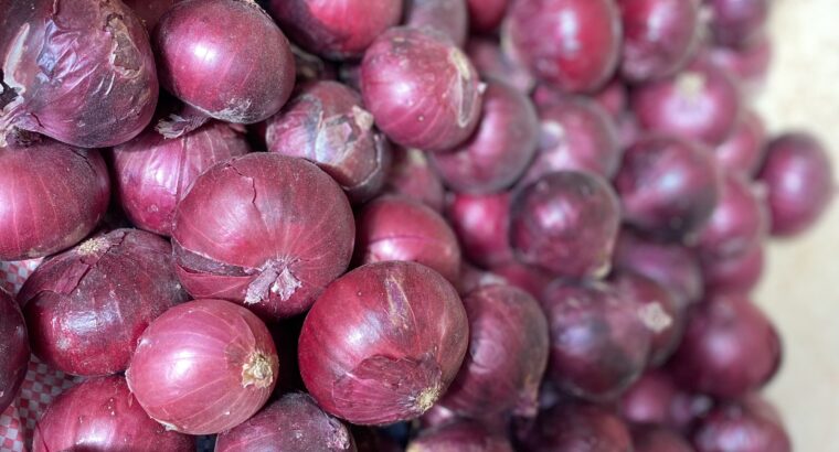 Red Bulb Onions