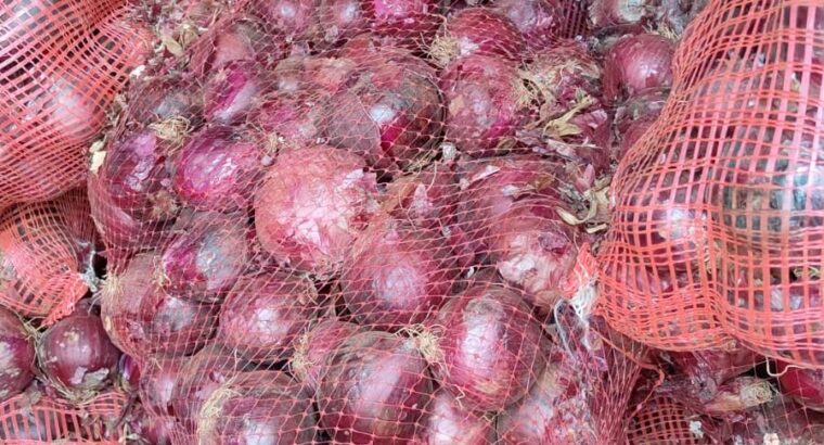 Red Bulb Onions