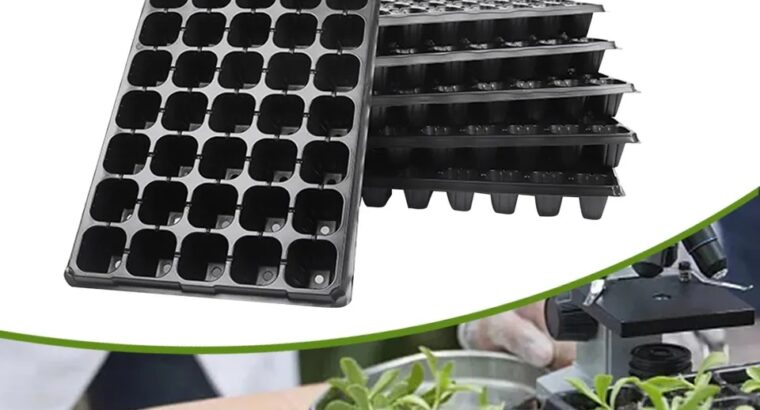 Seedlings Trays