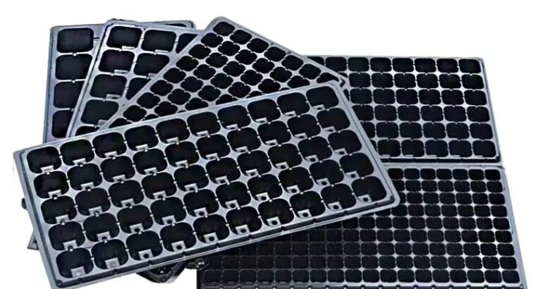 Seedlings Trays