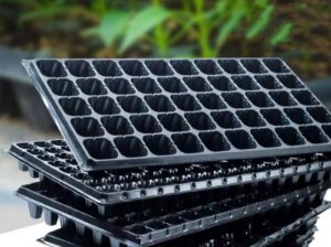 Seedlings Trays