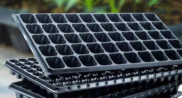 Seedlings Trays