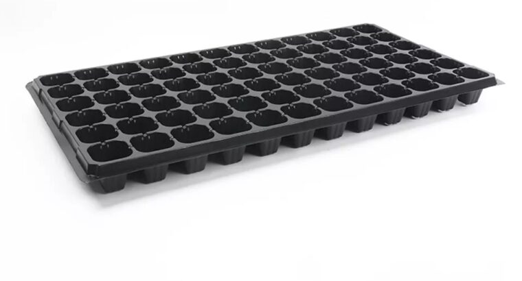 Seedlings Trays