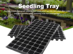 Seedlings Trays