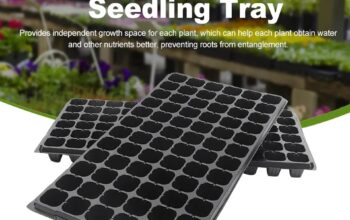 Seedlings Trays