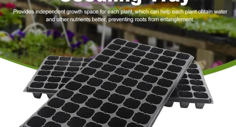 Seedlings Trays