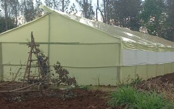 Wooden Greenhouses