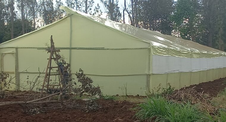 Wooden Greenhouses