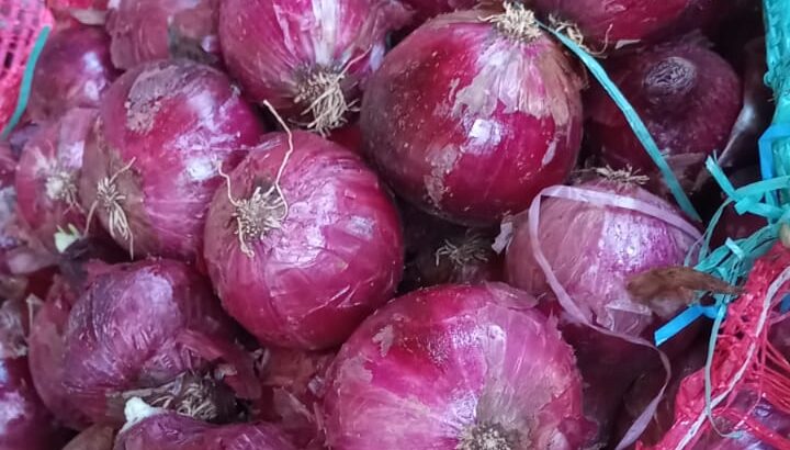 Red onions for sale