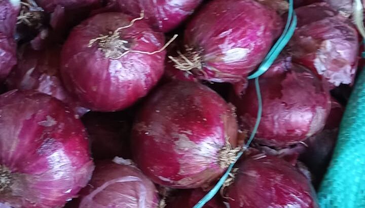 Red onions for sale