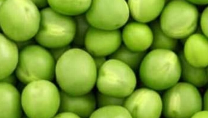 Fresh PEAS