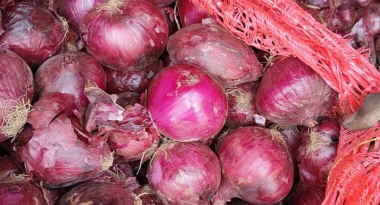 Red Bulb Onions