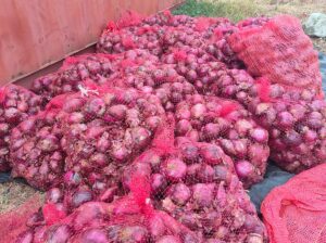 Red Bulb Onions