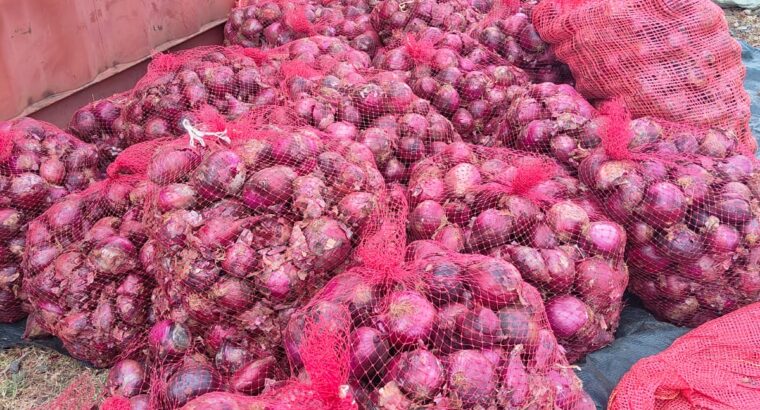 Red Bulb Onions