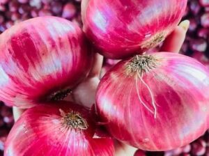 Red onions