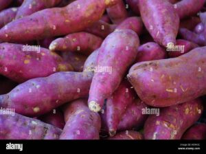 Red white sweet potatoes