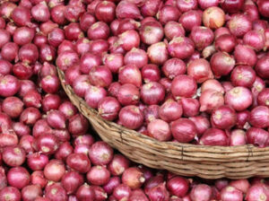 Red Bulb Onions