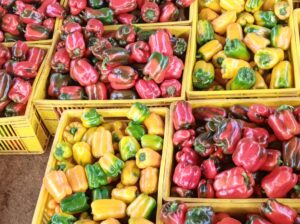 Capsicum (Hohos) for sale