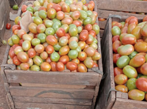 Tomatoes for sale in juja